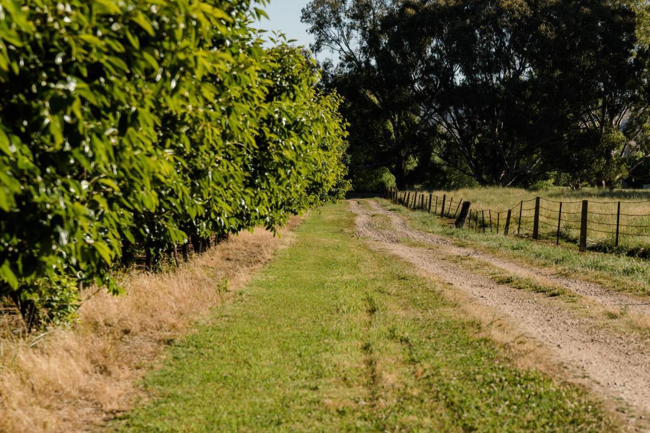 Walnut Tree Cottages Whorouly Eksteriør billede