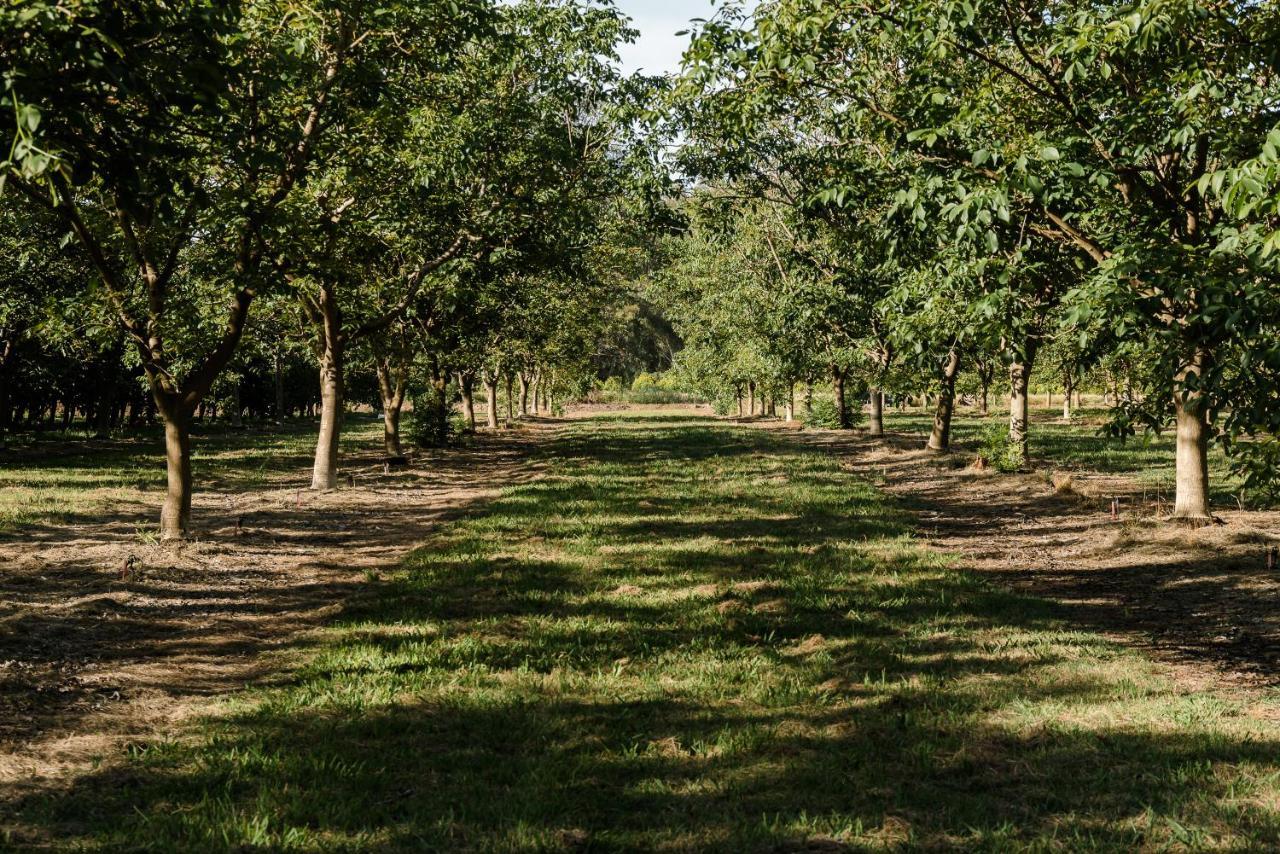 Walnut Tree Cottages Whorouly Eksteriør billede